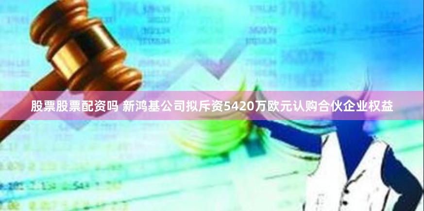 股票股票配资吗 新鸿基公司拟斥资5420万欧元认购合伙企业权益