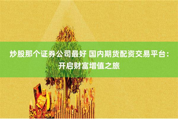 炒股那个证券公司最好 国内期货配资交易平台：开启财富增值之旅