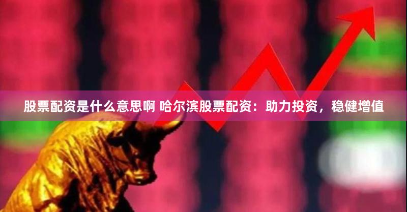 股票配资是什么意思啊 哈尔滨股票配资：助力投资，稳健增值