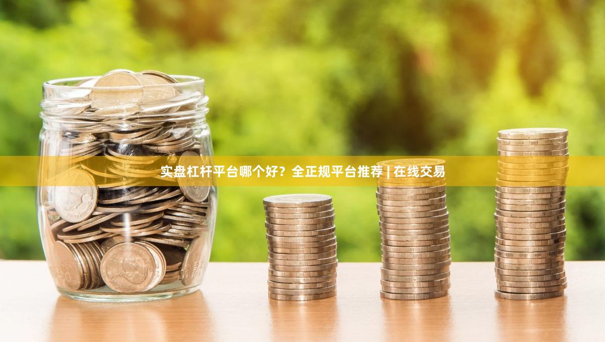 实盘杠杆平台哪个好？全正规平台推荐 | 在线交易