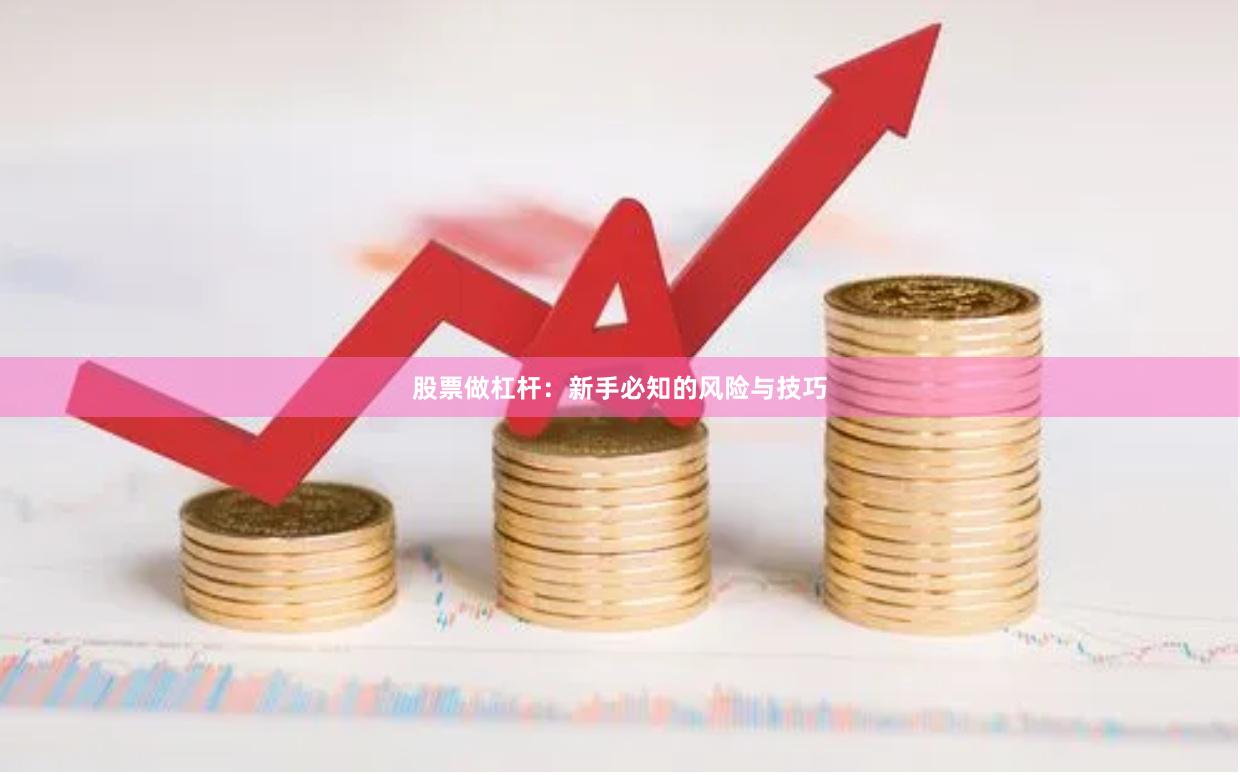 股票做杠杆:新手必知的风险与技巧