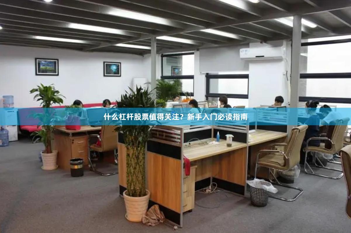 什么杠杆股票值得关注？新手入门必读指南